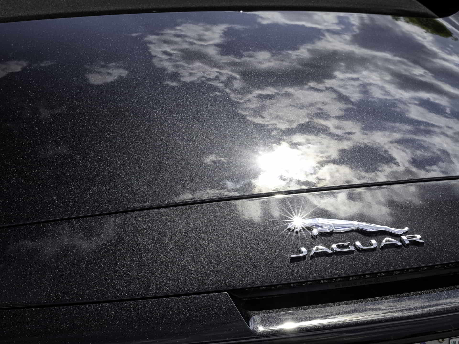 impeccable image detailing jaguar car paint correction lumberton nj